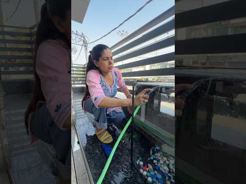 Aquarium Se Nikala Janlewa Fungus 🐠🐟🧟‍♀️ #fungus #aquarium #aquarius #fishing #fish #fishingvideo