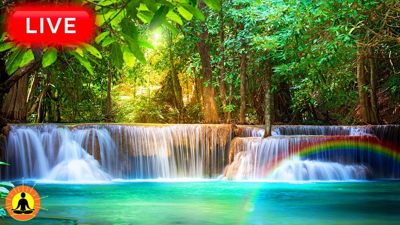 🔴 Study Music with Nature Sounds 24/7 🌿2276, Stress Relief Music, Sleep Music, Meditation, Relax