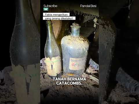 Fakta mengerikan yang jarang diketahui! #shortvideo #short #faktaunik