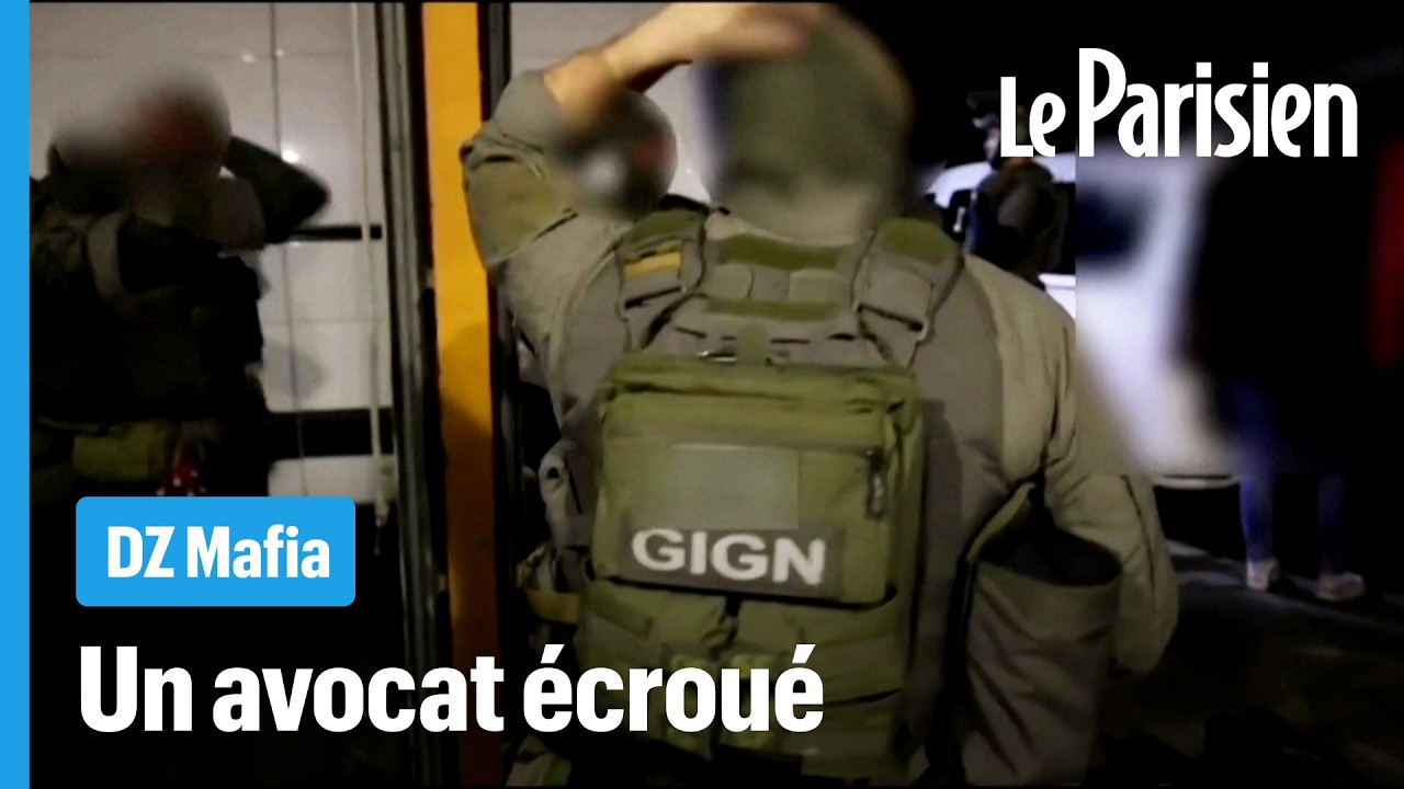 « 15 personnes incarcérées » : le parquet dévoile le bilan de son opération contre la DZ Mafia