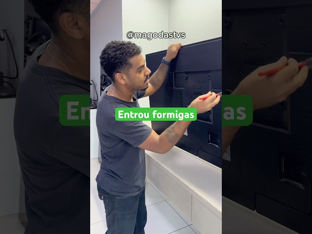 Tv entrou formigas, será que teve reparo?