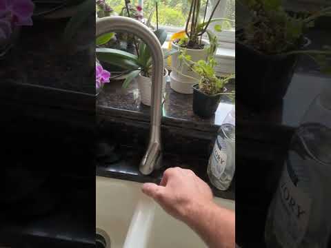 Jobs with Sidney:🚰Faucet Adjustment & Inspection