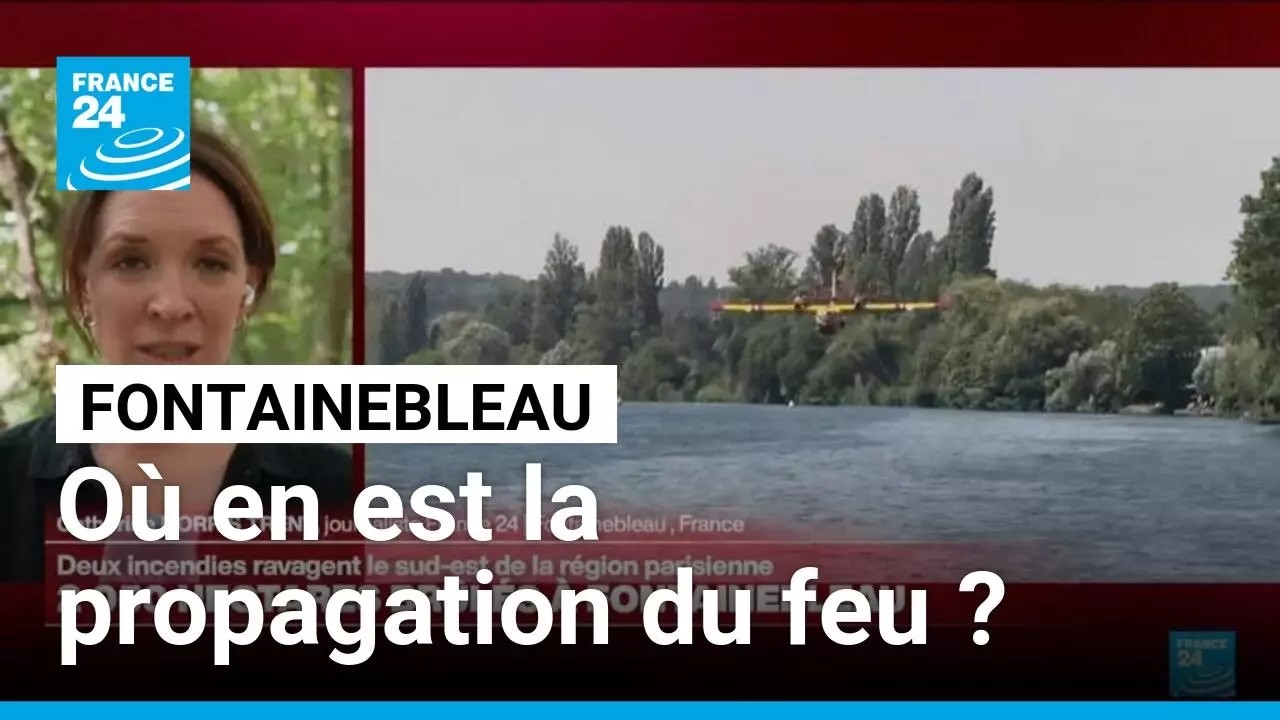 Forêt de Fontainebleau : "le feu n'est pas encore fixé mais la situation s'améliore"