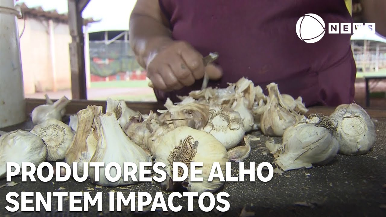 Produtores de alho sentem impacto da importação