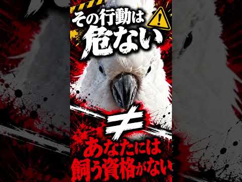 コメント欄を見て思うこと。 #shorts