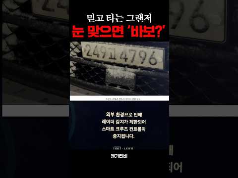 설마... 눈 맞으면 '바보' 될까??