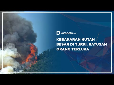 Kebakaran Hutan Besar di Turki, Ratusan Orang Terluka | Katadata Indonesia
