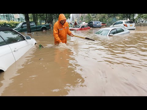 Quick Tips to Unclog Your Flooded Street Drain Easily
