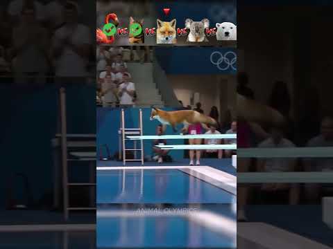 Flamingo vs Cat vs Fox vs Koala vs Bear - Diving Challenge😮