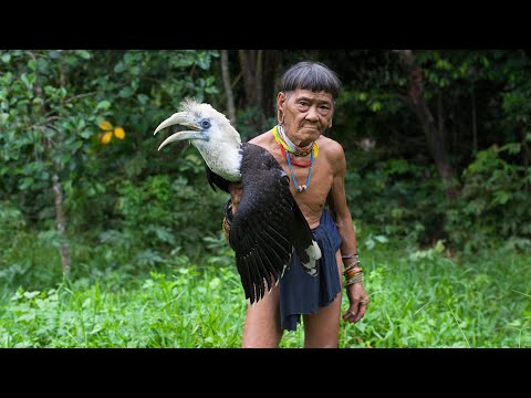 Borneo Death Blow - full documentary