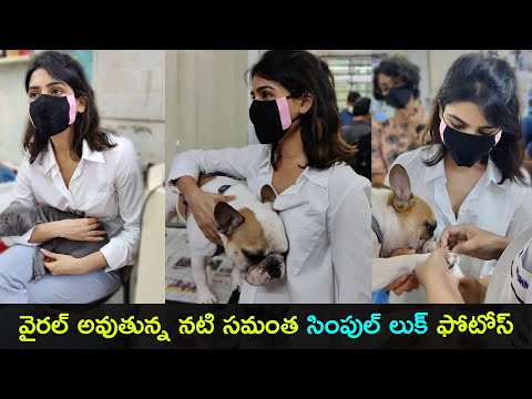 Actress Samantha spotted with pet dogs at vet clinic, her simple look pics go viral Actress Samantha spotted with pet dogs at vet clinic, her simple look pics go viral