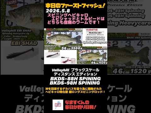 琵琶湖 26.5.8 ゴールデンウィーク後、スピニングヘビキャロで56と46cmゲット！