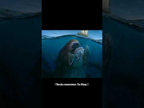 apakah itu hewan? atau mahkluk lain?🤔 #misteri #faktaunik