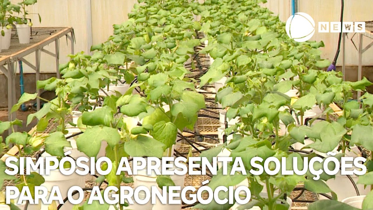 Simpósio apresenta tecnologias e soluções para o agronegócio