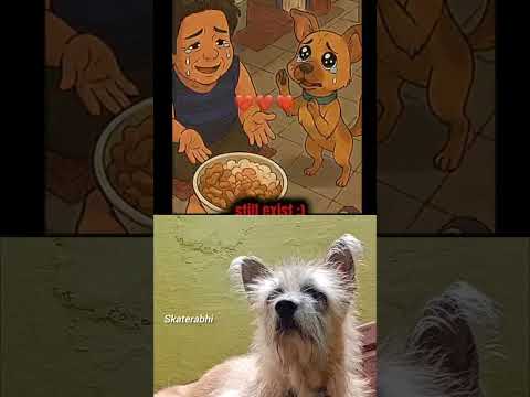 😢❤️ Please help us me and my owner 😭🙏