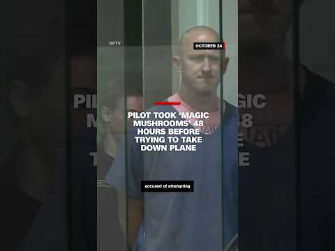 Pilot took ‘magic mushrooms’ 48 hours before trying to take down plane #cnn #news #pilot #court