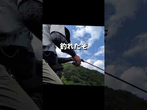 熊が怖いけど行ってしまう山口県の渓流釣り