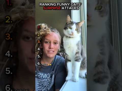 Cats Sneak Attack Compilation 😂🐱 #shorts