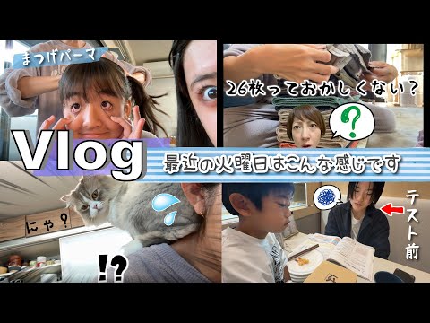 ★Vlog★最近の火曜日はこんなかんじで過ごしています