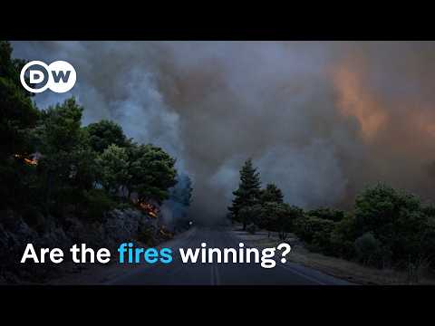 The alarming forecast for Europe's wildfires | DW Focus Insights
