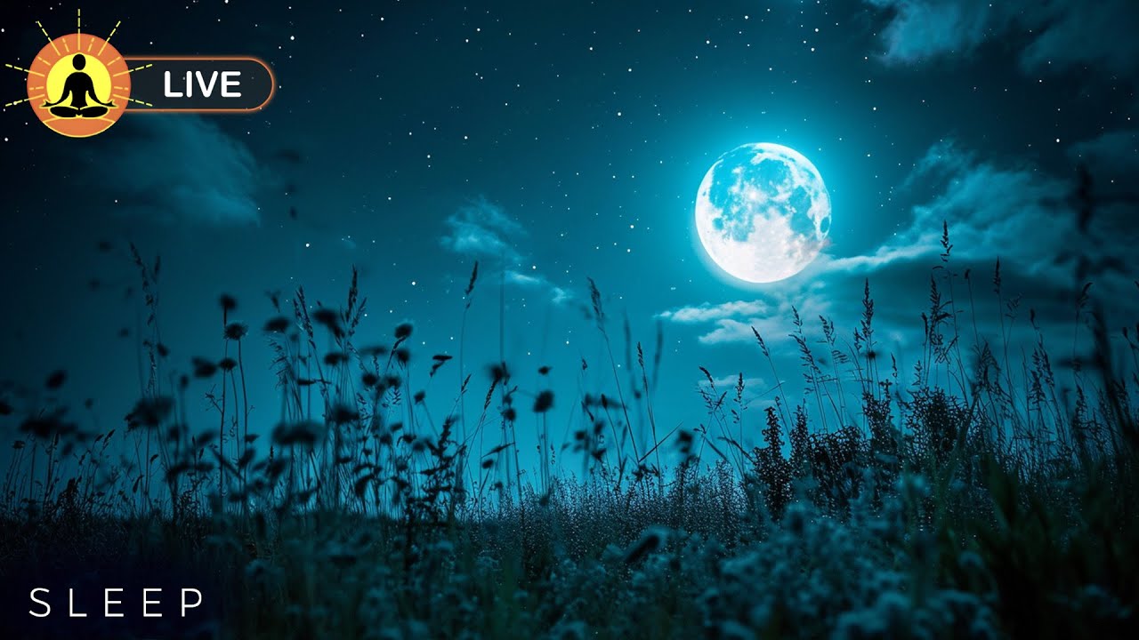 🔴 Tranquil & Relaxing Music for Deep Sleep 24/7 🌙3370, Stress & Insomnia Relief | Fall Asleep Fast