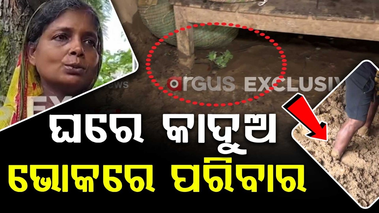 Subarnarekha Flood Recedes Slowly: Villagers Face Misery In Baliapal & Bhogarai | Argus News