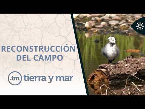 Tierra y mar | Reconstrucción del campo tras las lluvias y el desafío climático en la costa andaluza