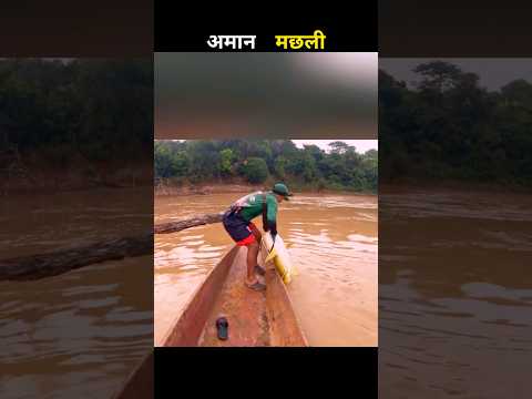अमान मछली 😱 #aivideo #fishing #fascinatinginformation #amazingfacts #facts #youtubeshorts