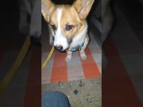 Gimli is live and cold