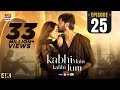 Kabhi Main Kabhi Tum Episode 25  Fahad Mustafa  Hania Aamir  1 Oct 2024  ARY Digital