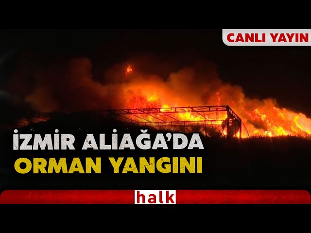 İzmir Aliağa Bozköy bölgesindeki orman yangını devam ediyor! (26 Haziran 2025)