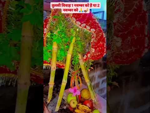 !! तुलसी विवाह 1 नवम्बर को है या 2 नवम्बर को🙏!! #shortvideo#viralshorts #trendingshorts#bhaktireels