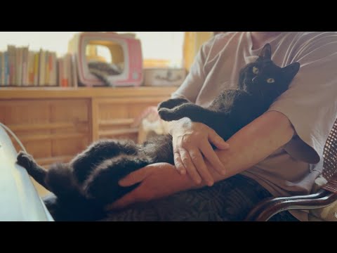 家族とペットの日常を温かく描いた動画｜癒しと笑顔のひととき サムネイル