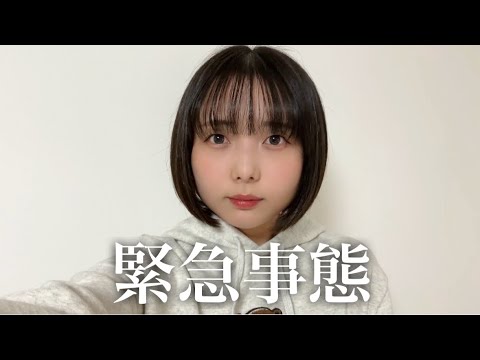今日の動画は、、