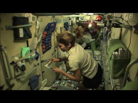 Space Tourists'