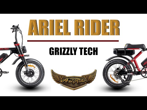 Ariel Rider Grizzly || Replacing the Controllers