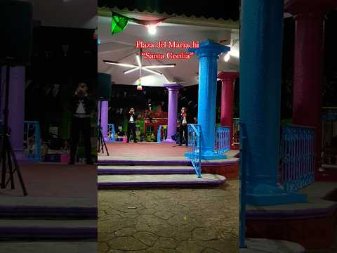 #mariachi #mexico #music #shortsmusic #musicaregional #mariachis #mariachienvivo #tradiciones