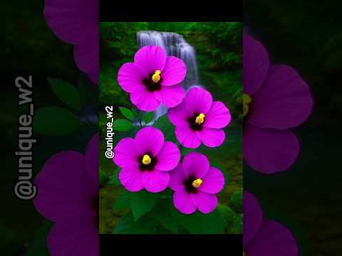 beutiful natural flowers🌸🌺#beatifulnature #trending #flowers #beautifulflowers #viralvideo #ytshts