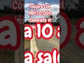 http://i1.ytimg.com/vi/TlOCL3IrCCY/default.jpg
