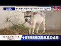 Arasavalli Temple : శ్రీ సూర్యనారాయణస్వామి దేవస్థానంలో గోవుల రక్షణ పై ఆందోళన | hmtv  - 06:40 min - News - Video