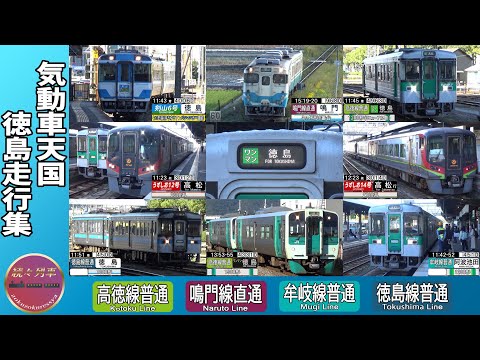 1200形リニューアル車大活躍、昼の徳島走行集（2024.11）【続々列車】