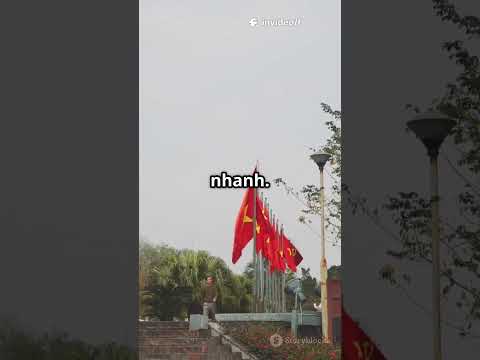 Người Trung Quốc Hoảng Loạn  Bí Quyết Từ 2025 10 09