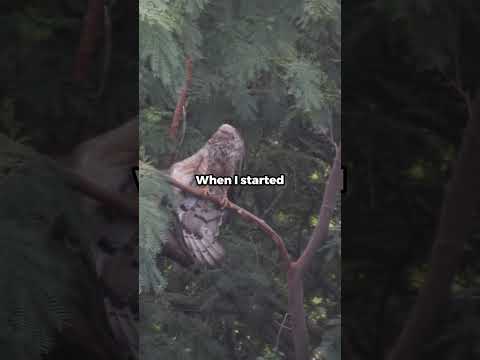 My photos when I started vs Now! Part 3