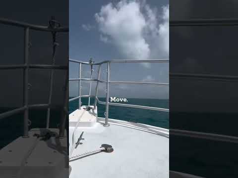 Apply, pack, and go.✈️ We help you figure out the rest with our travel internship! More info through