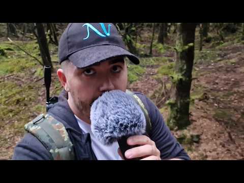 Nature Walk ASMR
