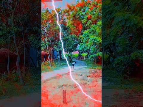 एक जींद के पिछे...🔥😤😈 #cricket #ट्रेंडिंग वायरल वीडियो #ट्रेंडिंग र रील्स #युटुबशॉर्ट्स...