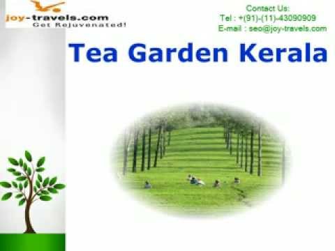 Holiday Trip For Kerala Houseboat Backwater Tour Package with Joy Travels - YouTube