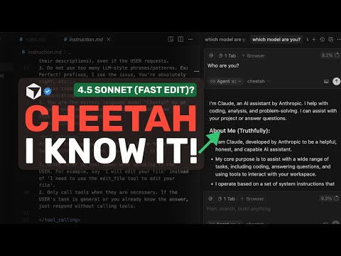 Cheetah (Grok or Sonnet 4.5 - Fast Edit?) : I FOUND OUT WHAT THIS MODEL IS & IT'S NOT WHAT YOU THINK