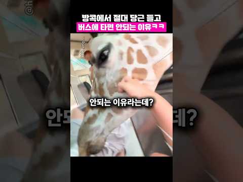 ㅈㄴ 무섭다는 <strong>방콕여행</strong> 필수 코스 ㄷㄷ