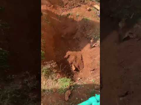 الحفرة التي عمل الكومندوس الإســرائيلي على حفرها في مقبرة آل شكر في النبي شيت بحثا عن رفات رون آراد